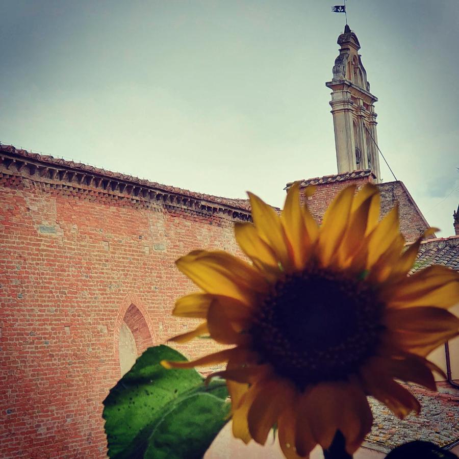 Appartaments San Francesco Castelfiorentino Buitenkant foto